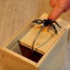 Spider Prank Gift