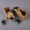 Spider Prank Gift