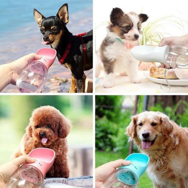 PORTABLE PET WATER BOTTLE